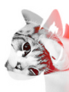 Ce forum est verrouillé, vous ne pouvez pas poster, ni répondre, ni éditer les sujets. Ce forum est verrouillé, vous ne pouvez pas poster, ni répondre, ni éditer les sujets.